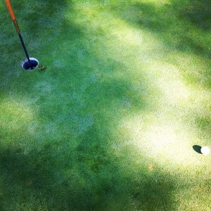 Almost a Double Eagle, Albatross at a Greenskeeper.org Golf Tournament